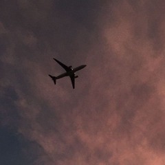 أهو قلبي دا ال بيغرق و ال سارقه النيل 🍃