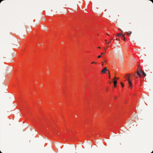 너의 무리