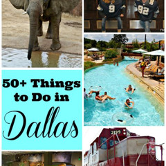 Best Fun Things To Do In Dallas With Parents Tours Reviews