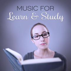 Meditation Before Learning