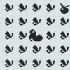 february frog    pond g @ 613bpm