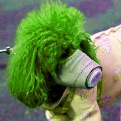 WhatTheFuck (CRAZYTIMESSTAYHUMAN MIX)