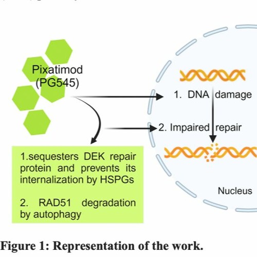 One More Step Toward Treatment of PARP Inhibitor-resistant Ovarian Cancers