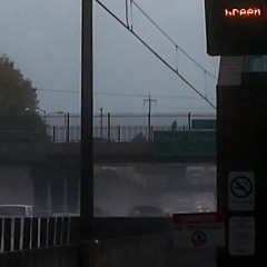 may 26th 2020 wind flower