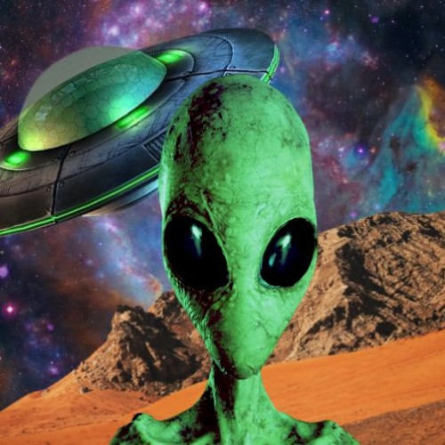 IchigoShadow - Halcyon Observant