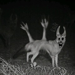 Funk Horror Do Horror