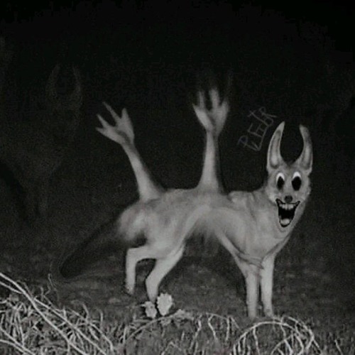 Funk Horror Do Horror