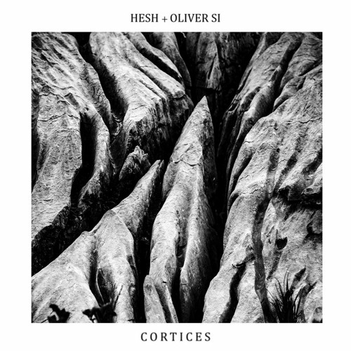 Indefinite Pitch PREMIERES. Hesh + Oliver Si - Cognitive Flexibility (Owl Remix) [Ante Rasa]