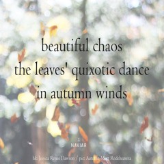 halF quixotiC [naviarhaiku467]