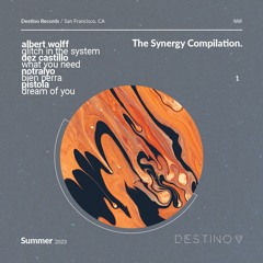 what you need. - Dez Castillo