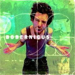 BOBERLIVE - week01 [TheHardwareStart]