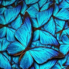 🦋Ulysses - DEEP PROGRESSIVE UNDERGROUND MIX (07 - 2020)