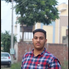 About Me Jordan Sandhu
