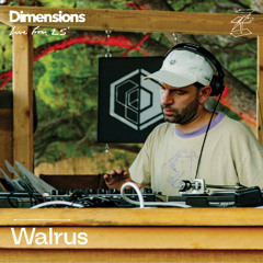 Walrus - Live From Dimensions '25