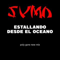 Sumo - Estallando Desde El Oceano (poly Gore New Mix)