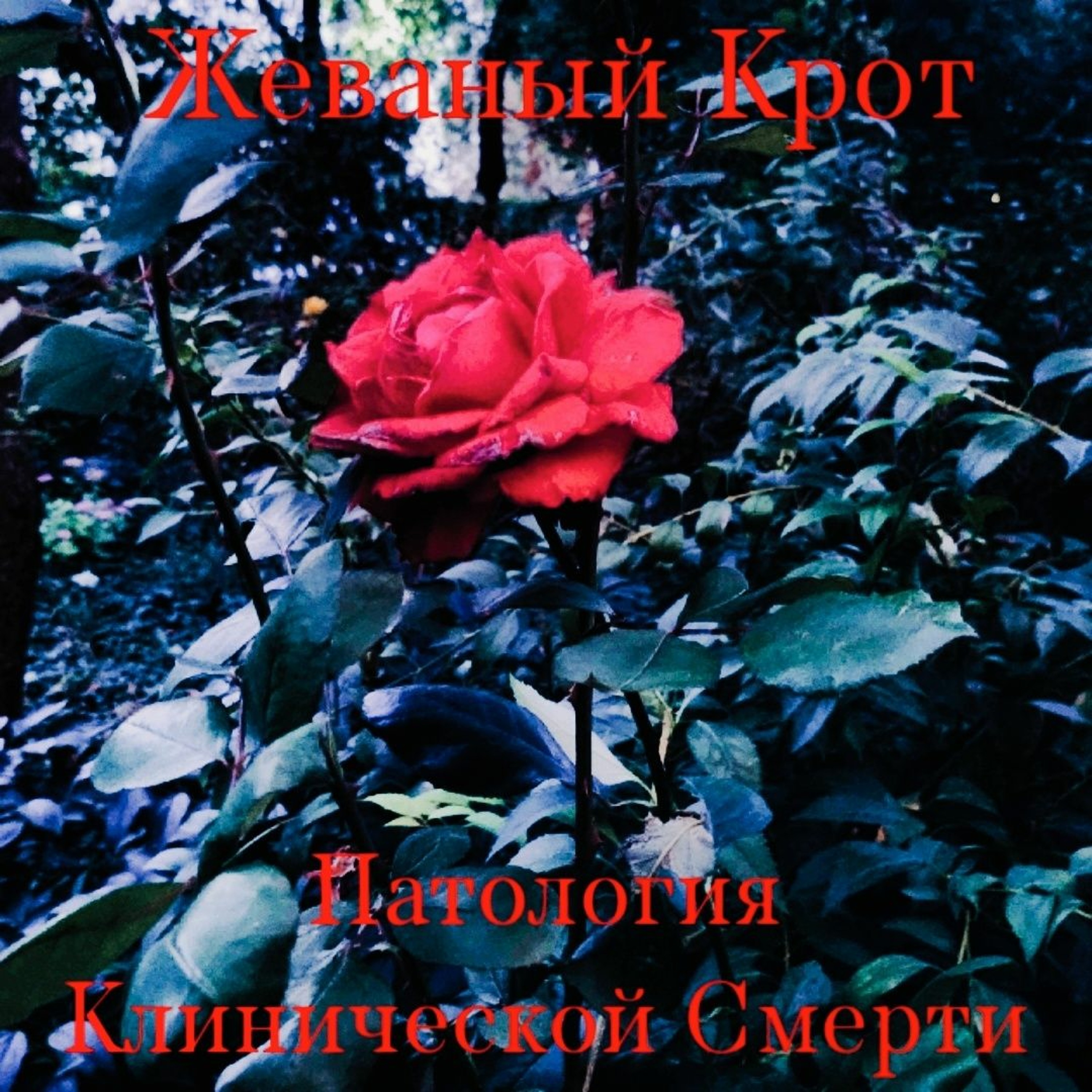 жеваный крот - Патология Клинической Смерти episode artwork