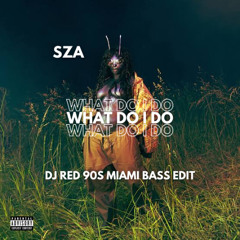 WHAT DO I DO (DJ RED 90s MIAMI BASS EDIT) DL = BUY LINK