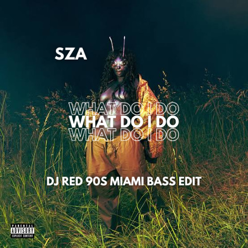 WHAT DO I DO (DJ RED 90s MIAMI BASS EDIT) DL = BUY LINK