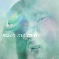 teach me to fly (glacies)