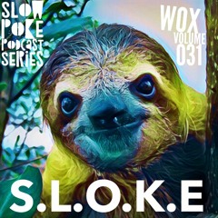 S.L.O.K.E // Slow Poke Sessions 031 With Wox - "Something Slow" 🦥(UKR)🇺🇦