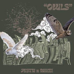 OWLS - jvstn ft. MIKE! (prod. theskybeats)