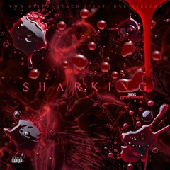 DirtBagZach YWBZ - Sharking (Feat. Drè Bèèzzø)
