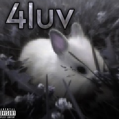 swaggot (ft. parad0x)