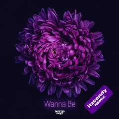 Twist3d Boys - Wanna Be (itzcandy Remix)