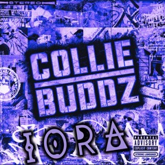 Collie Buddz - Come Around (IORA Flip)
