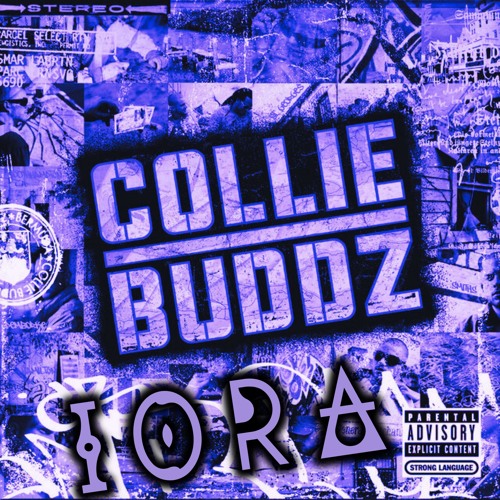 Collie Buddz - Come Around (IORA Flip)