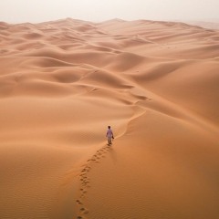 Lost In The Desert