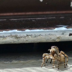 doesn't have to be much