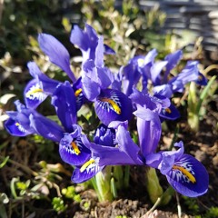 Ist Gott eigentlich schön?