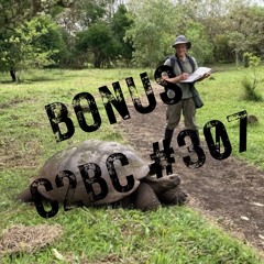 C2BC-307 Bonus: Analogies (6 min)