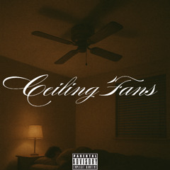 Ceiling Fans