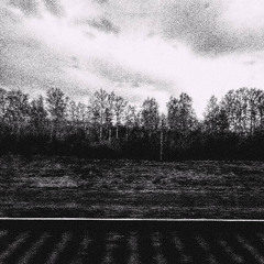 Noir Time