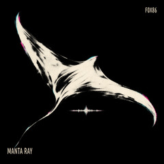 Manta Ray