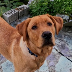 12.03.23_Miros Playlist_Volume 2