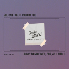 SHE CAN TAKE IT prod by & feat PRO, 45, MARLO