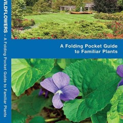 get [❤ PDF ⚡]  Illinois Trees & Wildflowers: A Folding Pocket Guide to