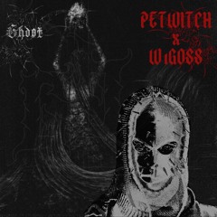 GHOSTCAST09 - W1GOSS B2B PETWITCH