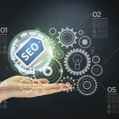 Seo Companies India  Seo Company In Mohali  Miraclestars