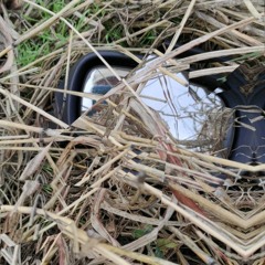 гнусный псалом.mp3