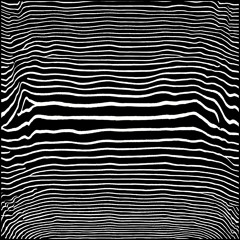 TOPOGRAPHIC VOICES