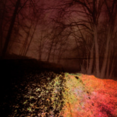 HOPE wishmaker remix