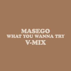 Masego - What You Wanna Try (V-Mix)