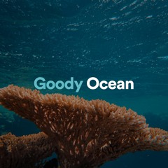 Goody Ocean, Pt. 29