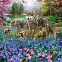 6 Lobos - Sesion De Temazos Remember