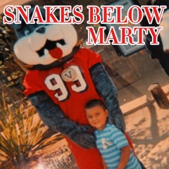 Snakes Below