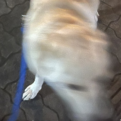 skip back(breakbeats).wav